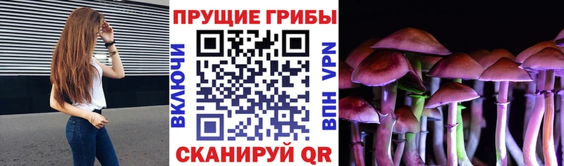 Псилоцибиновые грибы мицелий  Купить где  Курганинск 